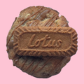 VEGAN Biscoff